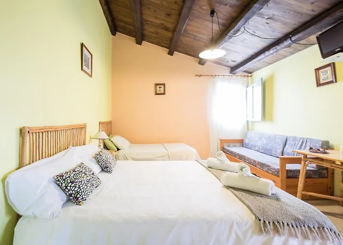 Hotel Del Coll *